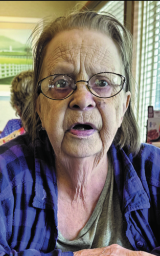 Linda L. Raner